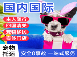 大庆萨尔图机场货运国际宠物托运 【国
